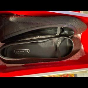 Coach flats